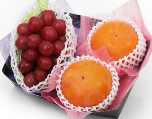 yG߂̃t[cMtg D уt[czj Cj   ei j oYj  u a G߂̉ʕ {  