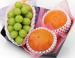 【季節のフルーツギフト C 林フルーツ】御祝 快気祝 御礼 お見舞い 粗品 内祝 出産祝い お供 志 誕生日 季節の果物 旬 くだもの 送料無料