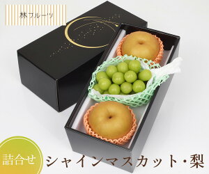 yVC}XJbg  lߍ уt[czj Cj   ei j oYj  u a G߂̉ʕ {  