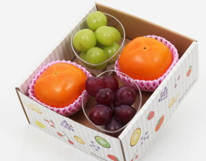 yv`t[cZNV bzj Cj   ei j oYj  u a G߂̉ʕ {  