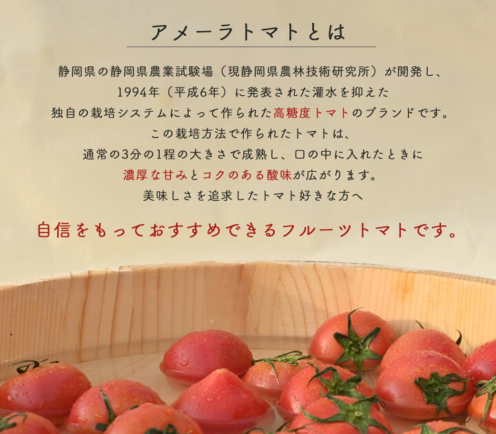 楽天市場】【アメーラトマト 3Sサイズ 約1kg 林フルーツ】御祝 快気祝 
