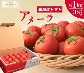 【アメーラトマト 3Sサイズ 約1kg 林フルーツ】御祝 快気祝 御礼 お見舞い 粗品 内祝 出産祝い お供 志 誕生日 季節の野菜 旬