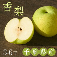 【千葉県産 市川の梨 香梨 秀品 3玉～6玉 (約2kg～2.5kg) 林フルーツ】御祝 快気祝 御礼 お見舞い 粗品 …
