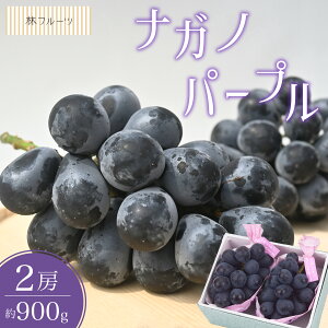 y 쌧Y iKmp[v 2[ 900g уt[czj Cj   ei j oYj  u a G߂̉ʕ {  