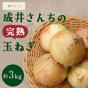 yɌ WHY 䂳񂿂̊n܂˂ 3kg уt[cz