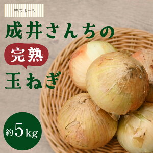 yɌ WHY 䂳񂿂̊n܂˂ 5kg уt[cz