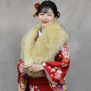 ファーショール 成人式 女性和装小物・履物 | 通販・人気ランキング 