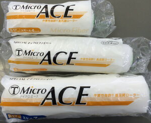 ˍѐ}CNG[XX[6C` Z 17~10{