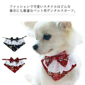 ybg L  ^    pf^XJ[t hbOANZT[ J[ o_i 悾ꂩ XJ[t