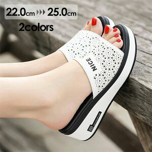  fB[X Sn悢 ₷ 傳TCY TCY T_ EFbW\[ RtH[gT_  