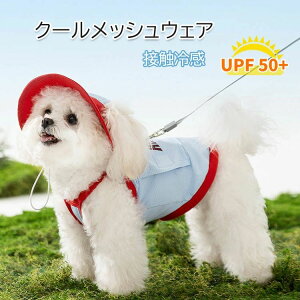  MǑ΍ ΍ ^ ^ ʋCQ ڐG⊴ ⊴ Ђ Oh~ N[ ۗܕt ĕ EFA 