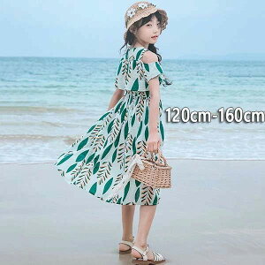 \  T}[hX q  O[ ItV_[ \ q nC ][gs[X qǂs[X