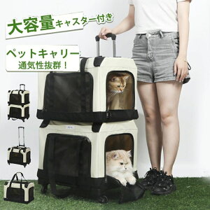 yb ԍ \tghbOP[W ܂肽݉\ |[^u Vb^[t KXߐ e ԗ֕t ybgpL[P[X