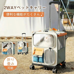 eCN Uɂ֗ sΉ AEghAΉ Oop 񂰉\  gѕ֗ LpL[P[X ybgL[obO