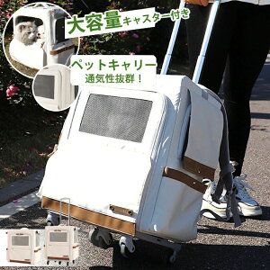 eCN Uɂ֗ sΉ AEghAΉ Oop 񂰉\  gѕ֗ LpL[P[X ybgL[obO