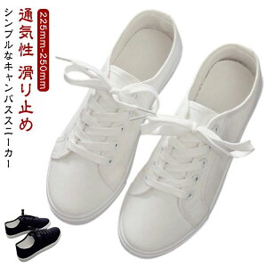  H t n q  ɂȂ ɂ ɂ [Jbg ₷ ɂ y fB[X Xj[J[