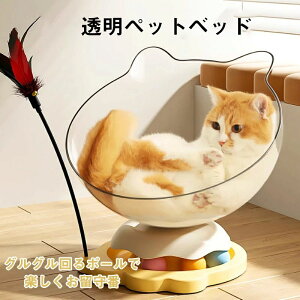 xbgnEX  Lp Lpxbh FJvZ LbgnEX L炵  ] Lpxbh  nbN L