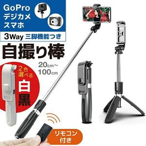���s �S���t �����R���t 360�x��]�\ �L�k�� �y�� �X�^���h �X�}�z �����[�g �f�W�J�� GoPro Bluetooth �Z���J�_ �O�r�t��