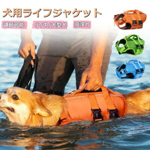 V v[ j ~ pCtZ[o[ ߉\ F ˃e[vt  ^p pCtWPbg