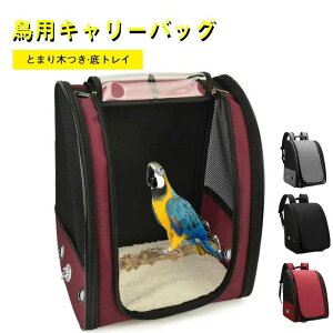 L ^ gѕ֗ bVʋC ̂oL[obO X^hp[` Vb^[ L[P[W