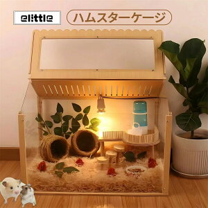 _[`L P[W P[W ʋC  ^т₷ g AN 傫 X^[pP[W nX^[P[W