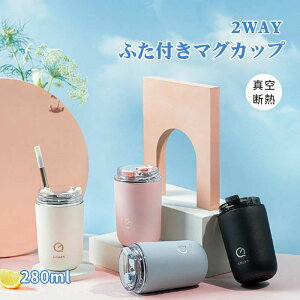 XeX Rbv Wt}OJbv  ۉ XeX}OJbv t^t }OJbv ۗ ۉ ^fM 280ml Wt
