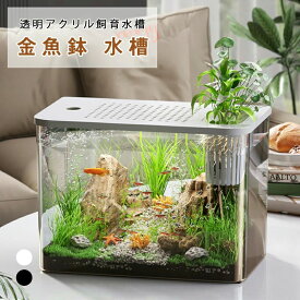 目高 シュリンプ グッピー クラゲ 熱帯魚 金魚飼育 アクアリウム 大容量 大型 おしゃれ メダカ鉢 透明 プラスチック 金魚鉢 水槽
