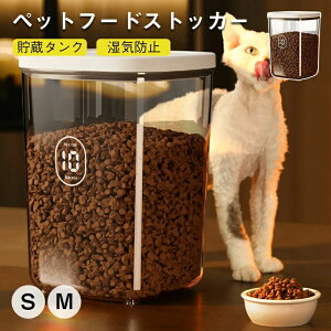 t Ch~ a[ ^N  e ۑe ۑe La a [oPc ybgt[h XgbJ[ ybgt[h