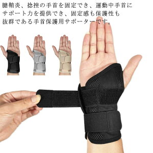 fX jp  ֐߃T|[^[ ی  E Œ ؃g ejX X|[c ̒ɂ p F≊ T|[^[