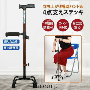 10iK\ y `FA[ hV̓ l_[^Cv s⏕ 4_ ⏕nh ܂肽    XebL