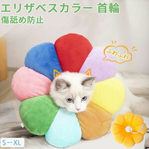 Lp ^ ^ ^ ybgpi ޖh~ p rߖh~ y _炩 L pi ybgp p Lp 