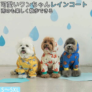 ˂  ^ ^ CEFA J hbOEFA pCR[g ^ ^ ^ ₷ CR[g