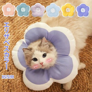 h~ ی r r p  p _炩 hf ybgp񕜋 pi ybgp  L  \tg