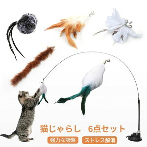 lR ˂ H p Lpފ lR ˂ H Lp L t 6_Zbg ނ L Œ z