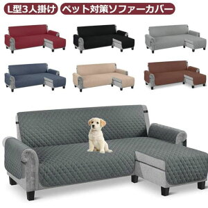 Jo[ Lg Vv k ͗lւ  ~ \t@[ی ܂Ƃh~ h~ LYh~ ^ Jo[