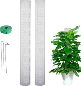 AT|[g2/4/6pcs ۃ|[p ۃ|[ ߉\  AT|[g NA X|[