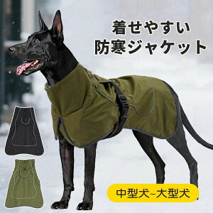 W g ~  ̕ [ht h h H |` t[X ^ ^ ₷ WPbg ~