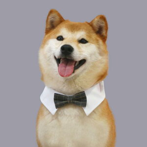   ANZT[ `[J[  X^CbV `FbN fj ^  L oh   am ybg