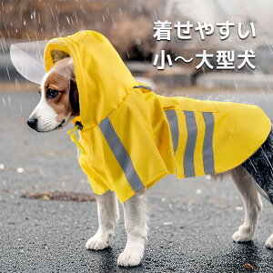 h C|` p ˃e[vt y h J ybgpi ^ ^ ^ ₷ |` CR[g