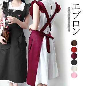 S6F V ^ł킢 JtFGv s[X t ЂЂ Gv