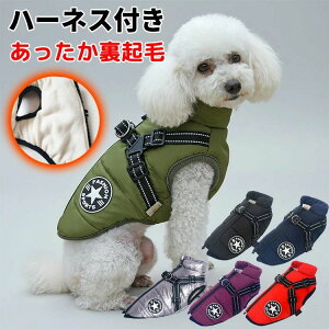 g _E Wbp[ t@Xi[ n[lXt AE^[ WPbg ^Ngbv wJ H~ ̕ xXg EGA 