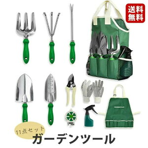 ΂ Vx pr gѕ֗ [g[gobOt |pi Zbg K[fjO ڐA XRbv | 11_Zbg