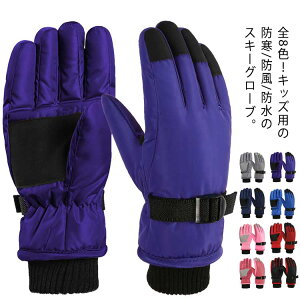 E g ܖ{w 8-16 ~p h h ʉʊw V  XL[  ̎q j̎q N  O[u LbY