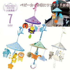 xr[V[g `ChV[g xr[J[gC xbhxr[[ [ xr[J[ xr[J[ op 