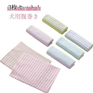 ybgpi ₦΍   ₦΍ }i[  ɗD q   ^ ybg _炩 VjA 3Zbg