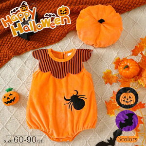 nEB[  V LbY xr[ c 80 70 60  RXv 2_Zbg ڂ p[X Ԃ xr[