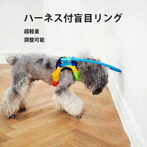  L  K ʋC y XgX یxXg XXS`LTCY \ Փ˖h~ ӌ Z[tO tFCXK[h