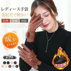 p U[ h {v { fB[X  hp H~p v[g Vv Ԃ rє100 t@[