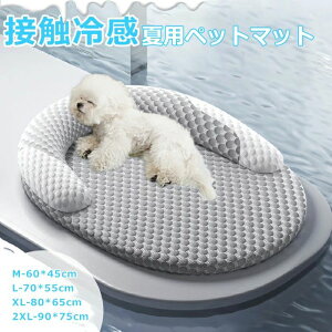 }bg ėp ybgpi Ђ _炩 p}bg ⊴  NbV Ђ}bg ڐG xbh xbh L ėp