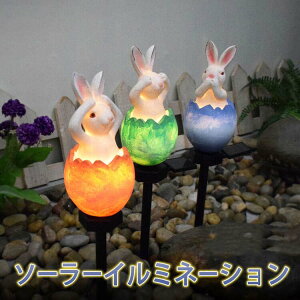 \[[[ `[tCg NX}Xc[ e 3Zbg 2 1 \[[C~l[V LEDCg K[fCgCg